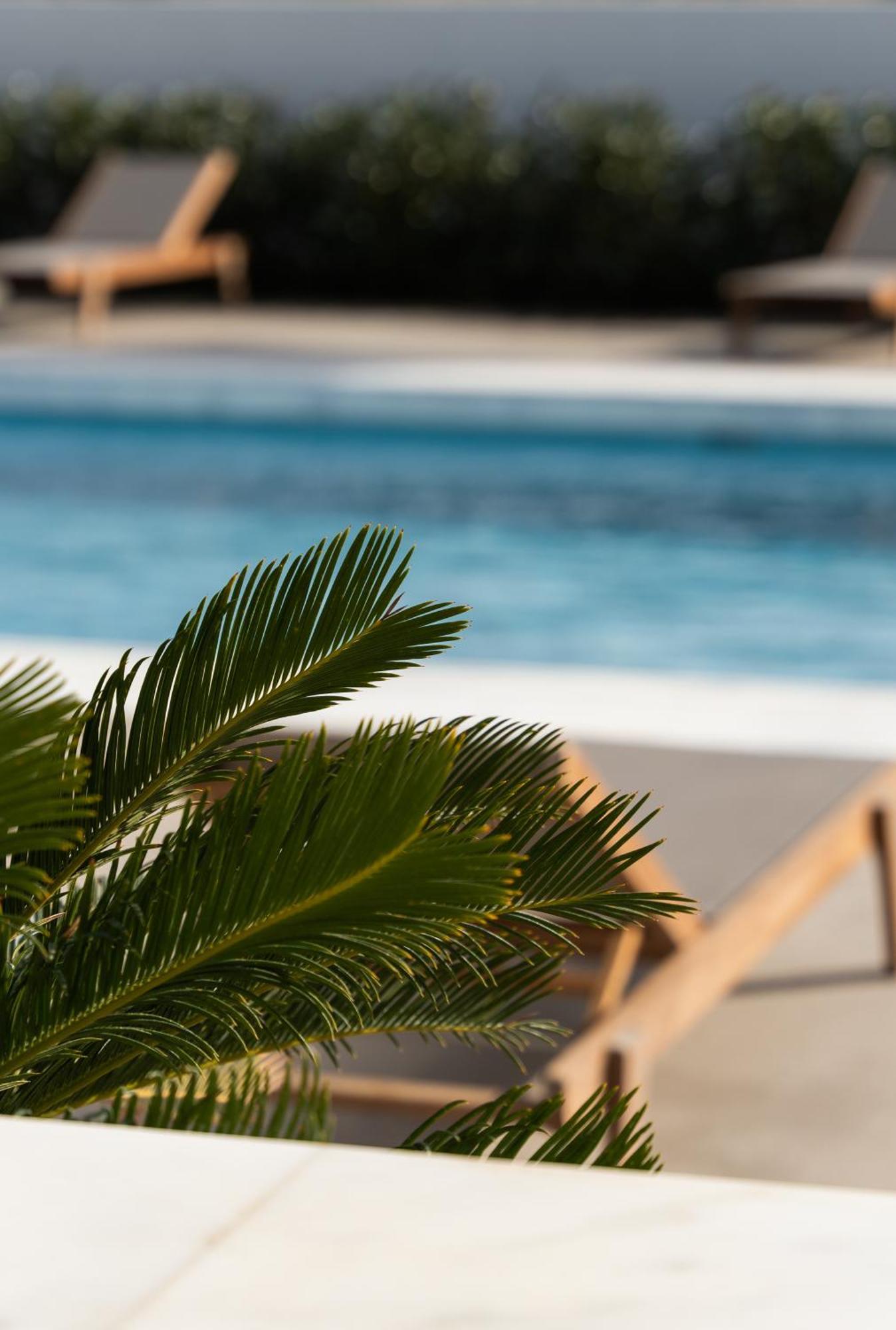 Tzanis Hotel 4*