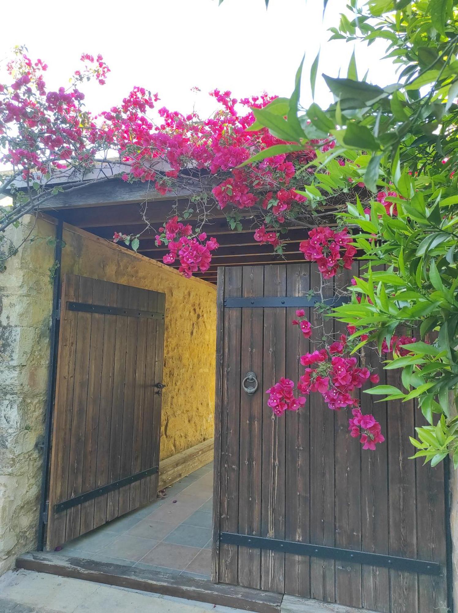 Alexandrou Villa