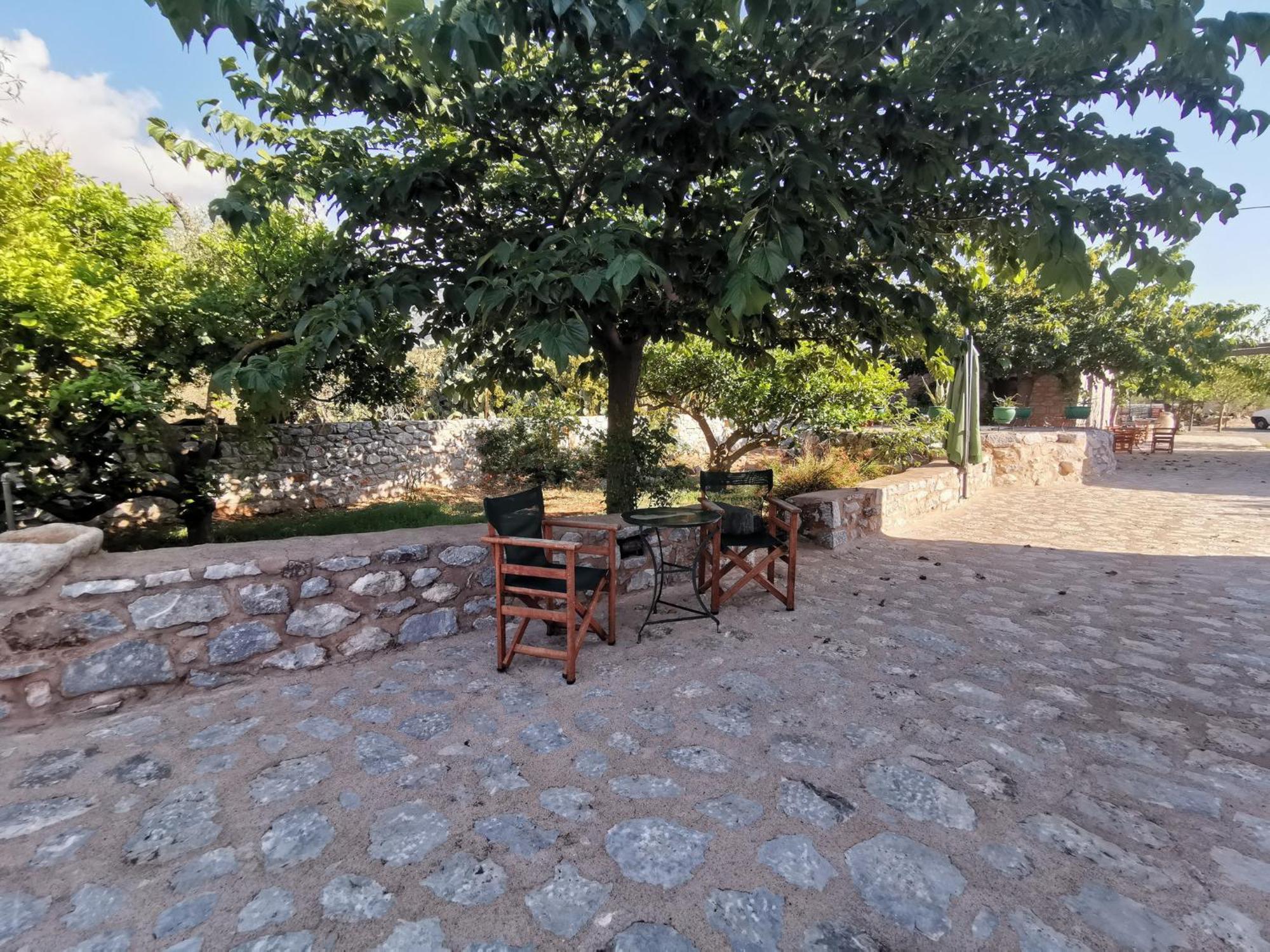 Toxotis * Pyrgos Dirou