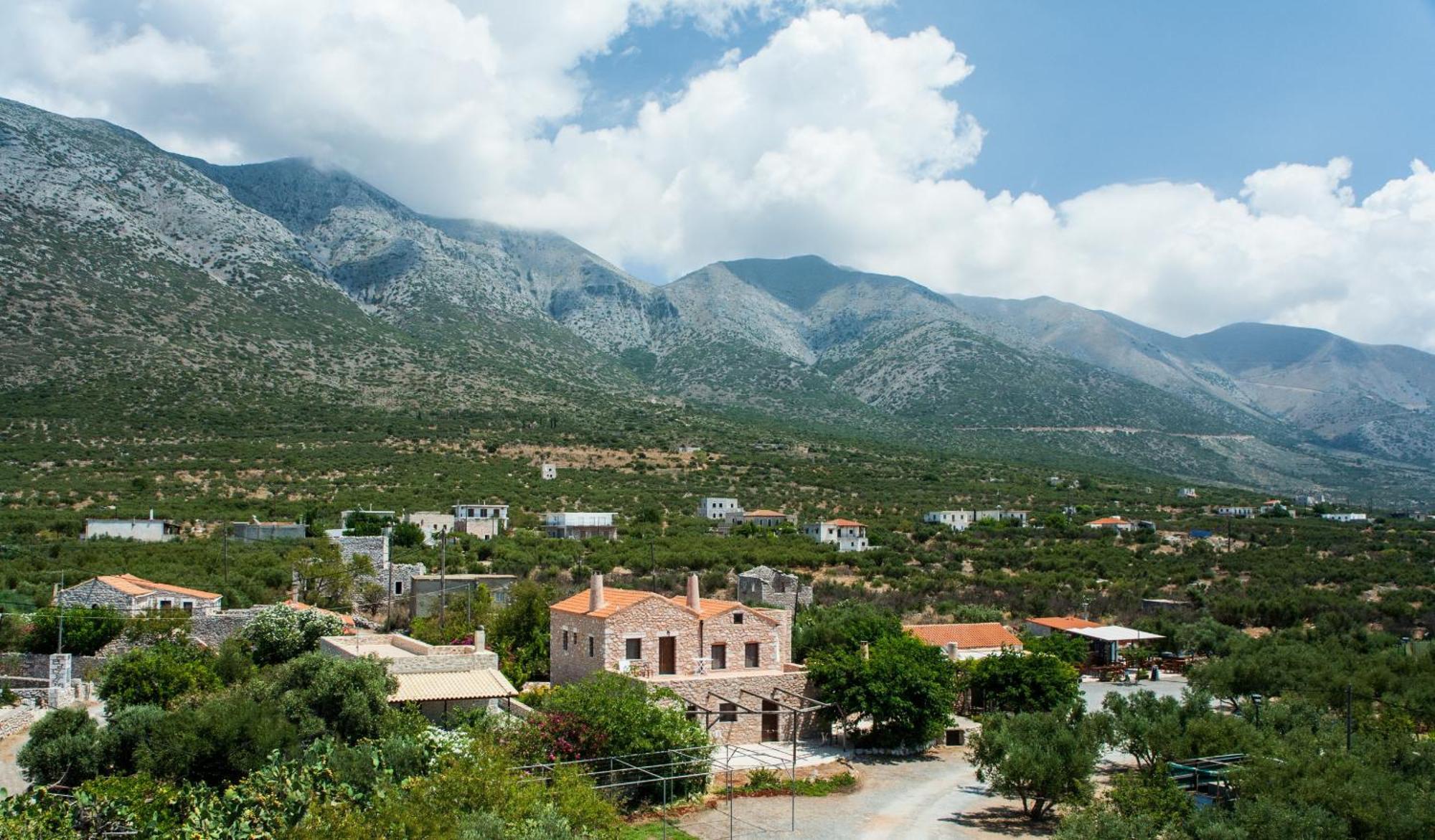Toxotis * Pyrgos Dirou