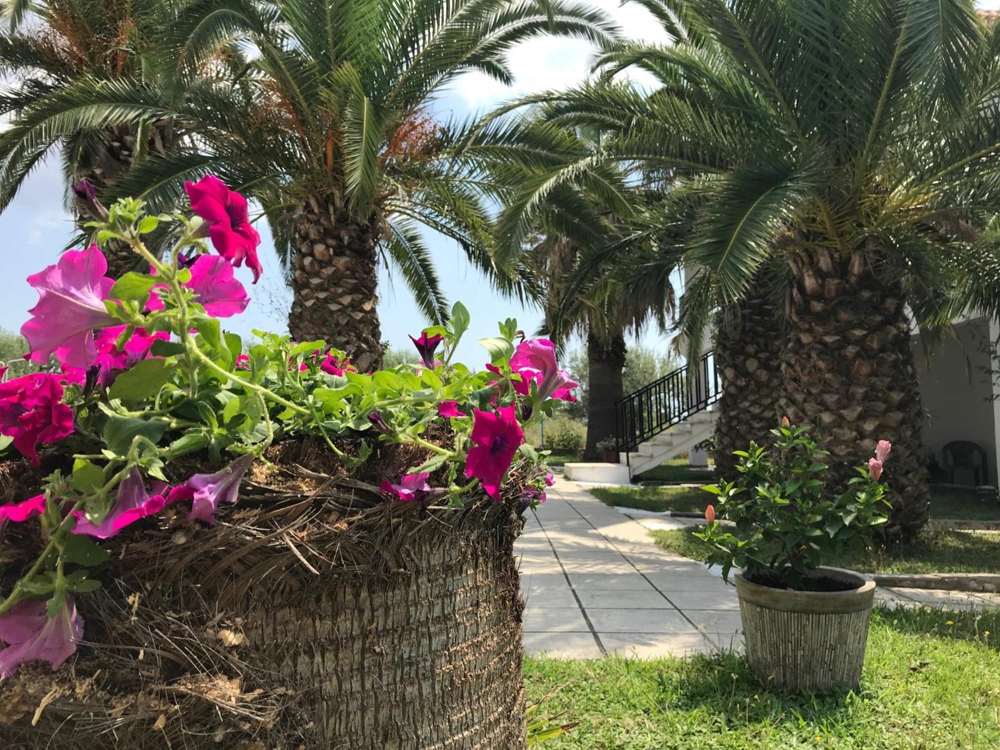 Santa Catalina Apartment