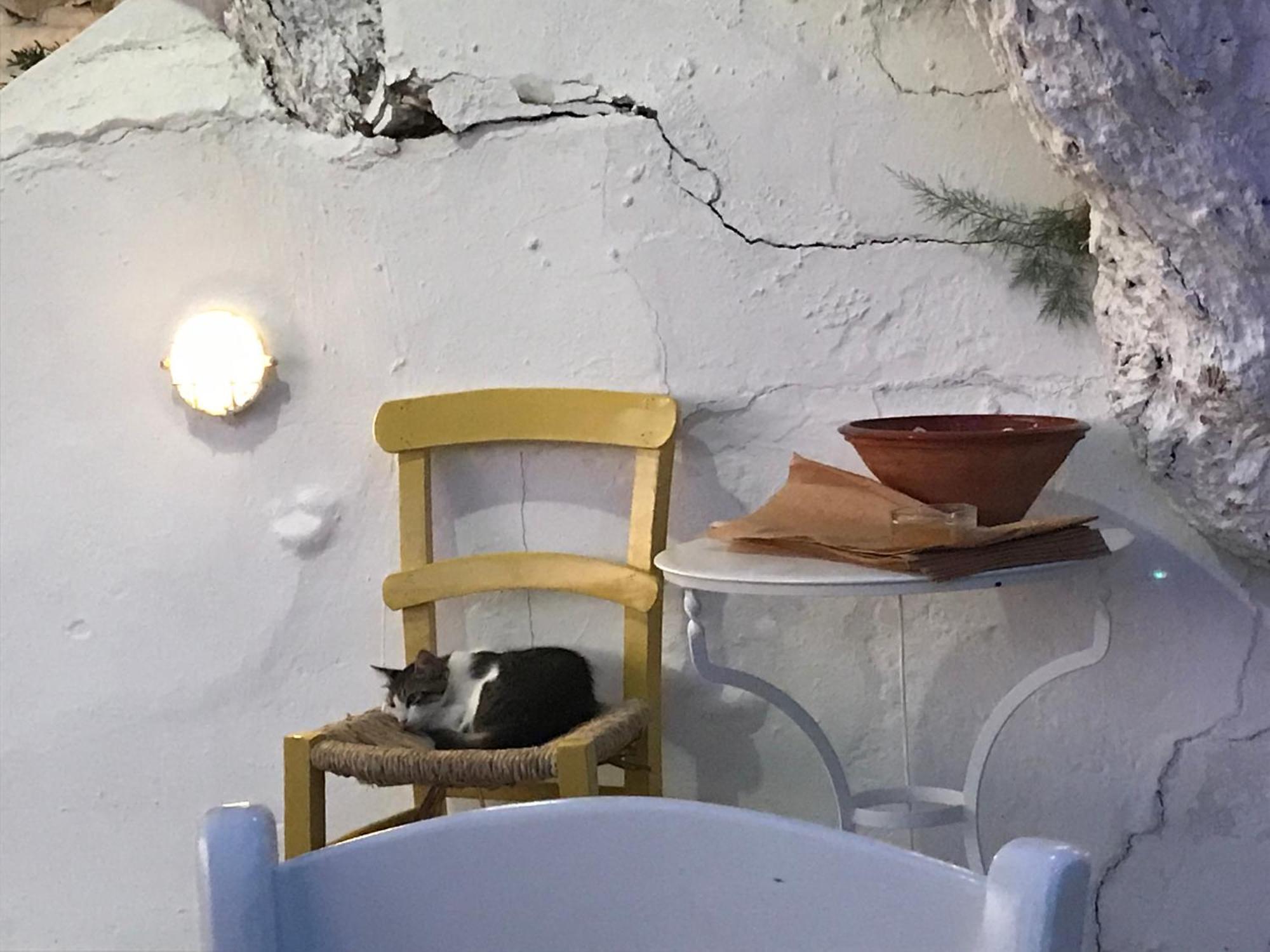 Traditional Aparthotel 4*