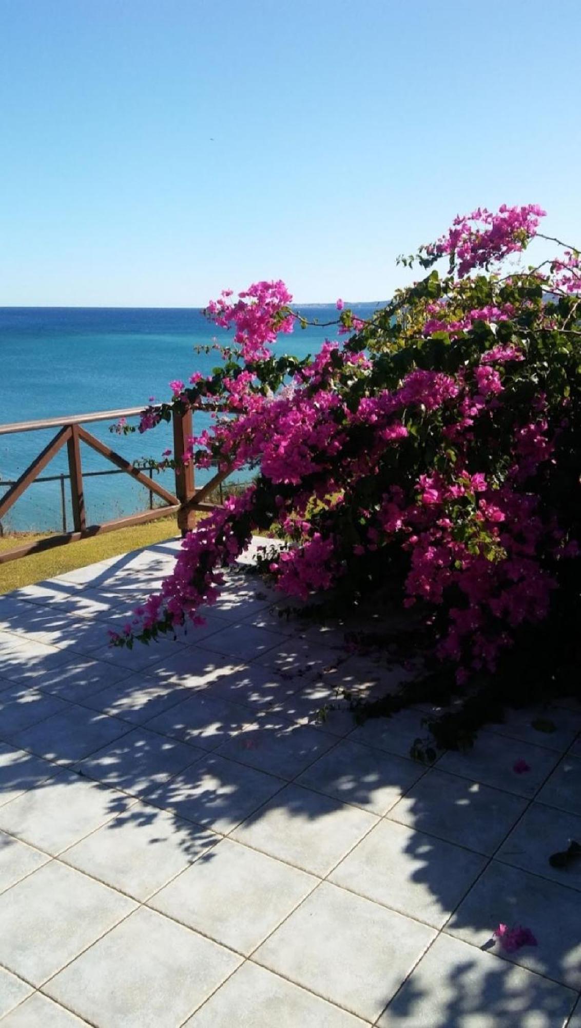 Panorama Holiday home *