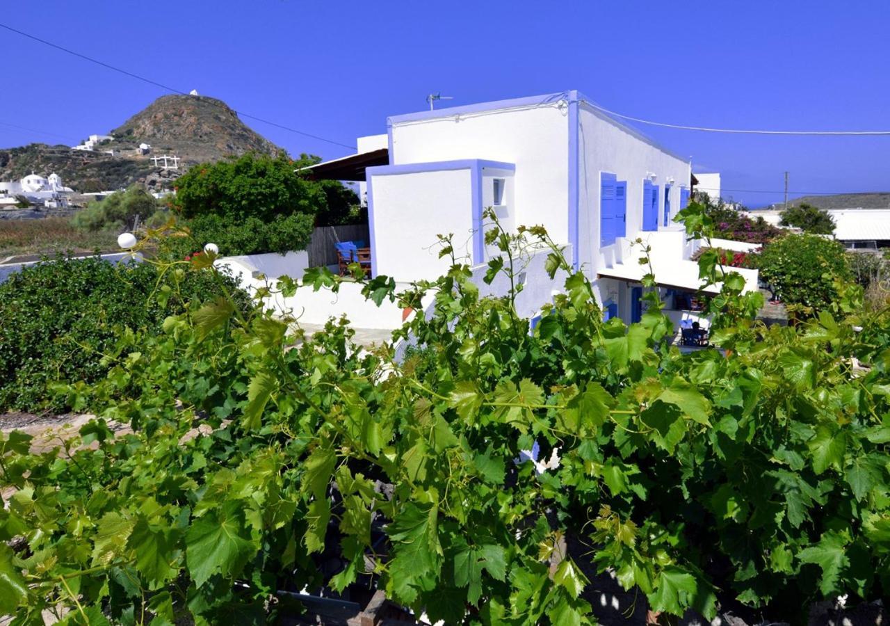 Jimmy's Plaka (Milos)