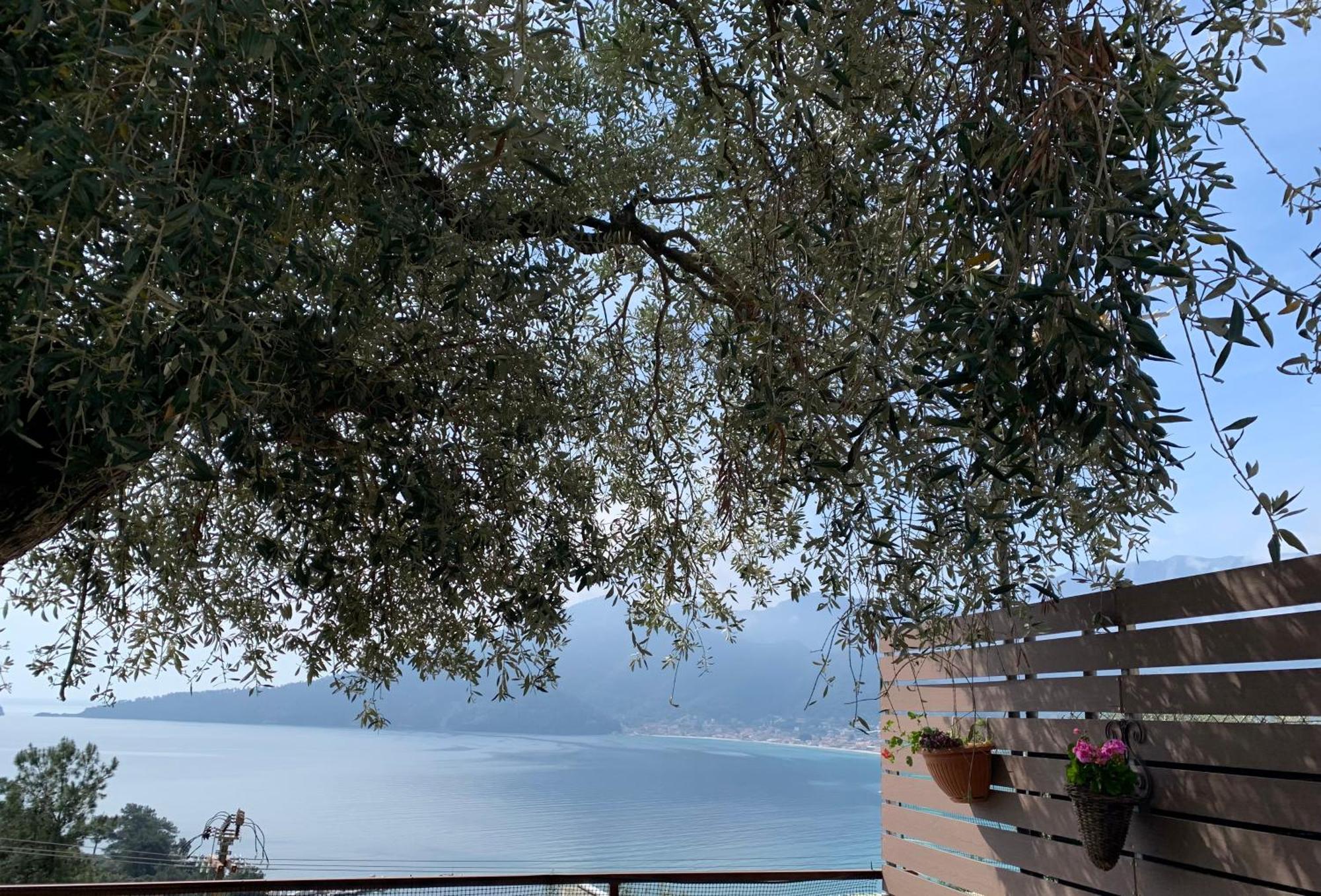 Waterview Chrysi Ammoudia