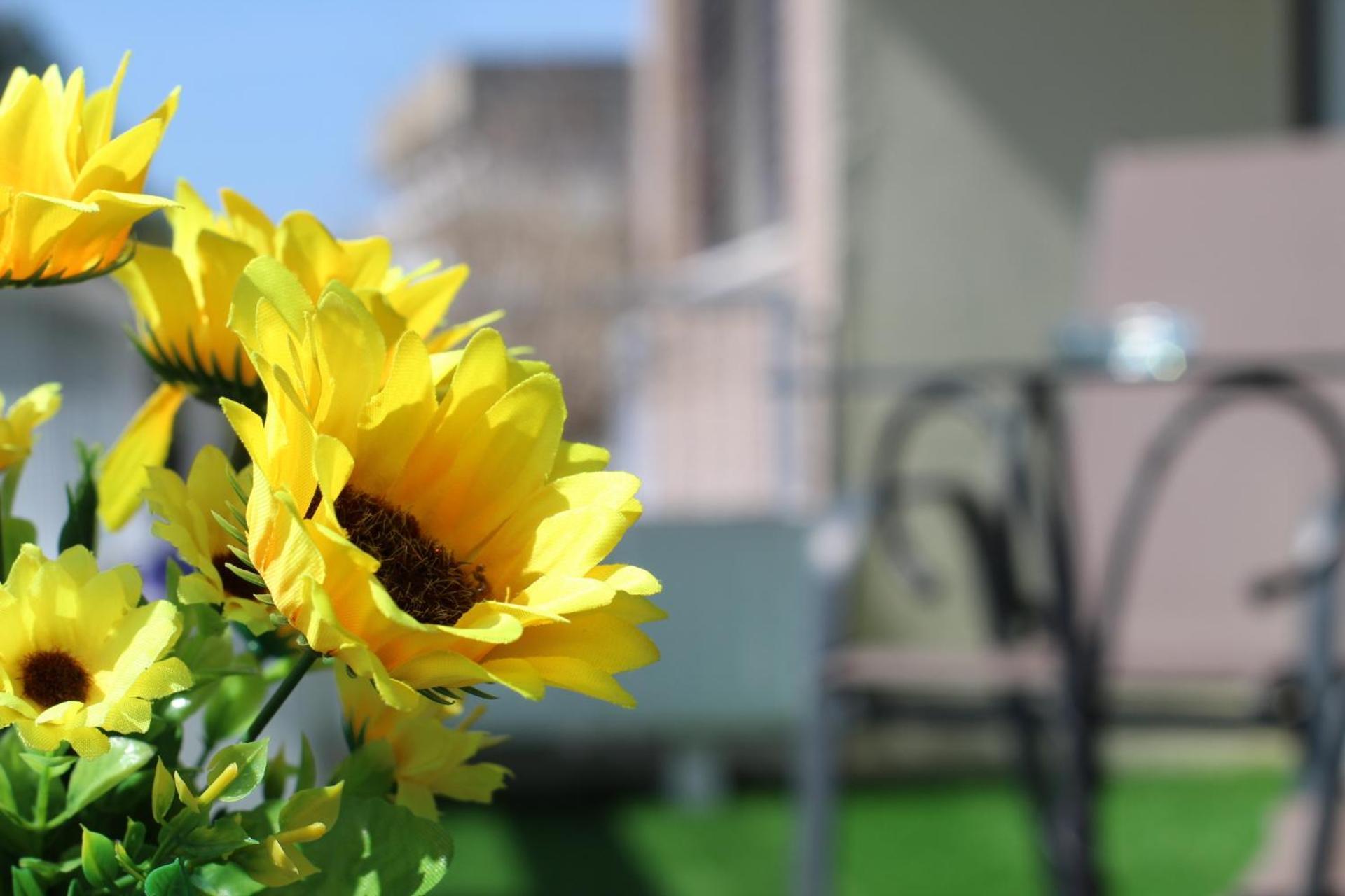 Glyfada Apartment *