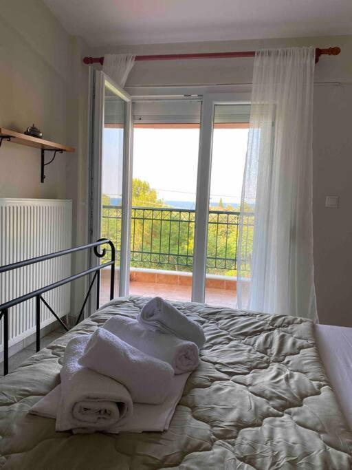 Achilleas & Chara's Summer House * Litochoro