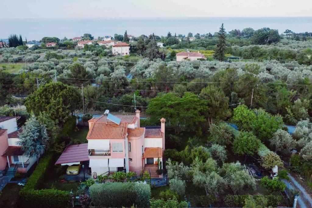 Achilleas & Chara's Summer House Litochoro