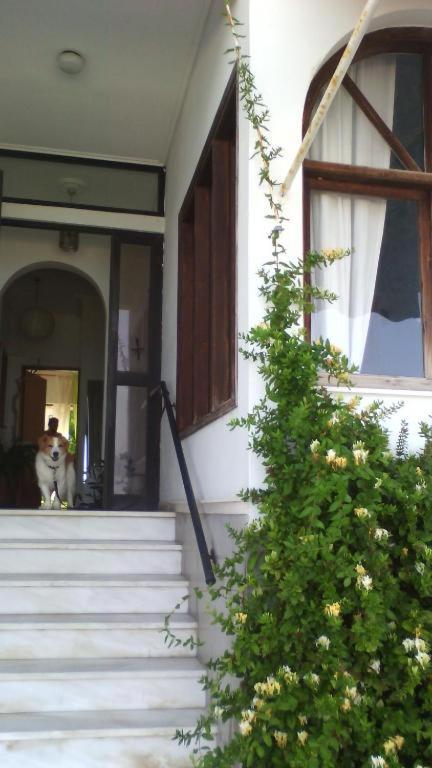 Papas On The Seafront Apartment Oreoi