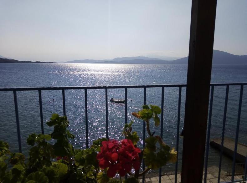 Apartment Papas On The Seafront Oreoi