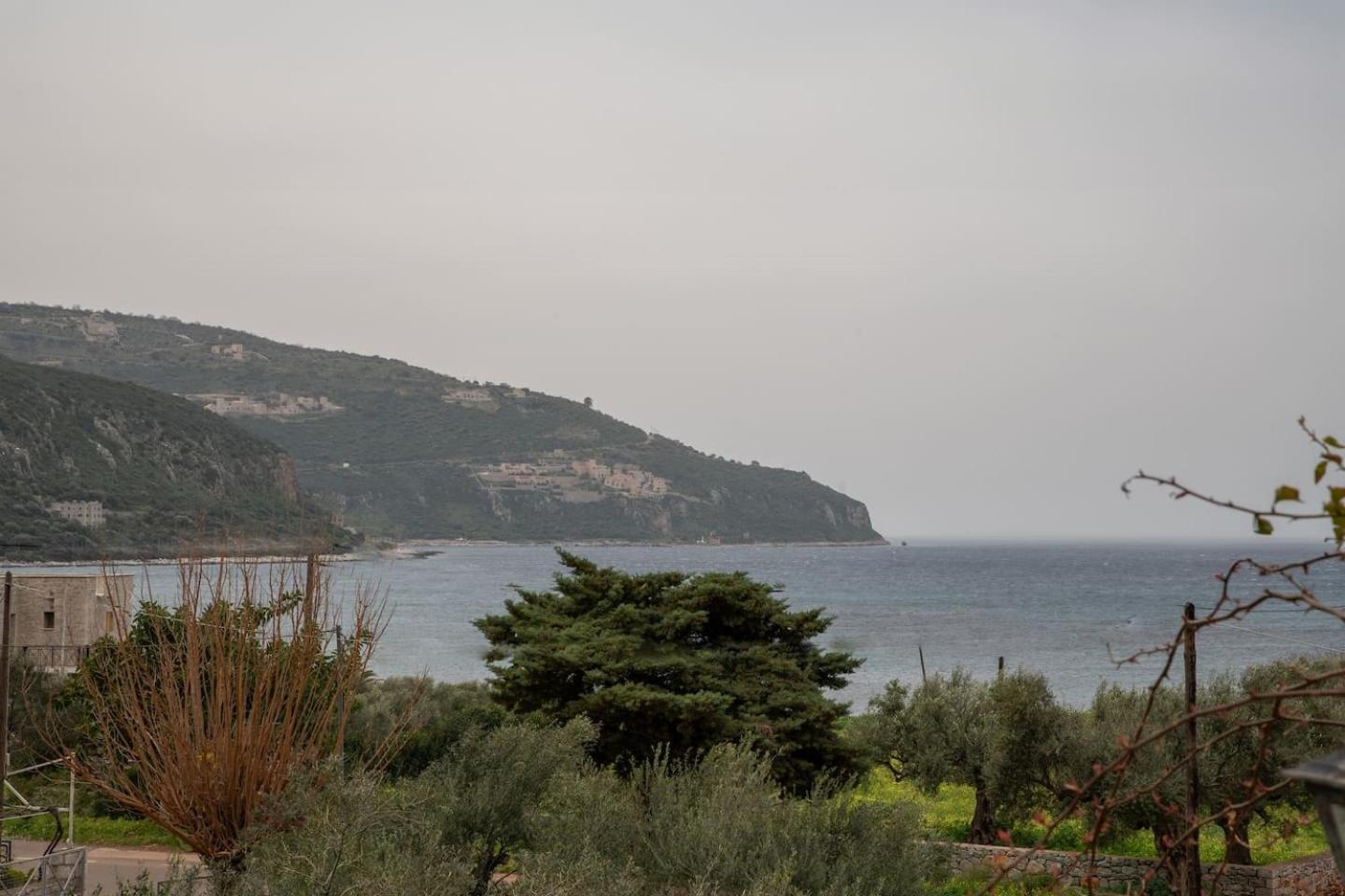 Laconian Collection Voukamvilia * Areopoli