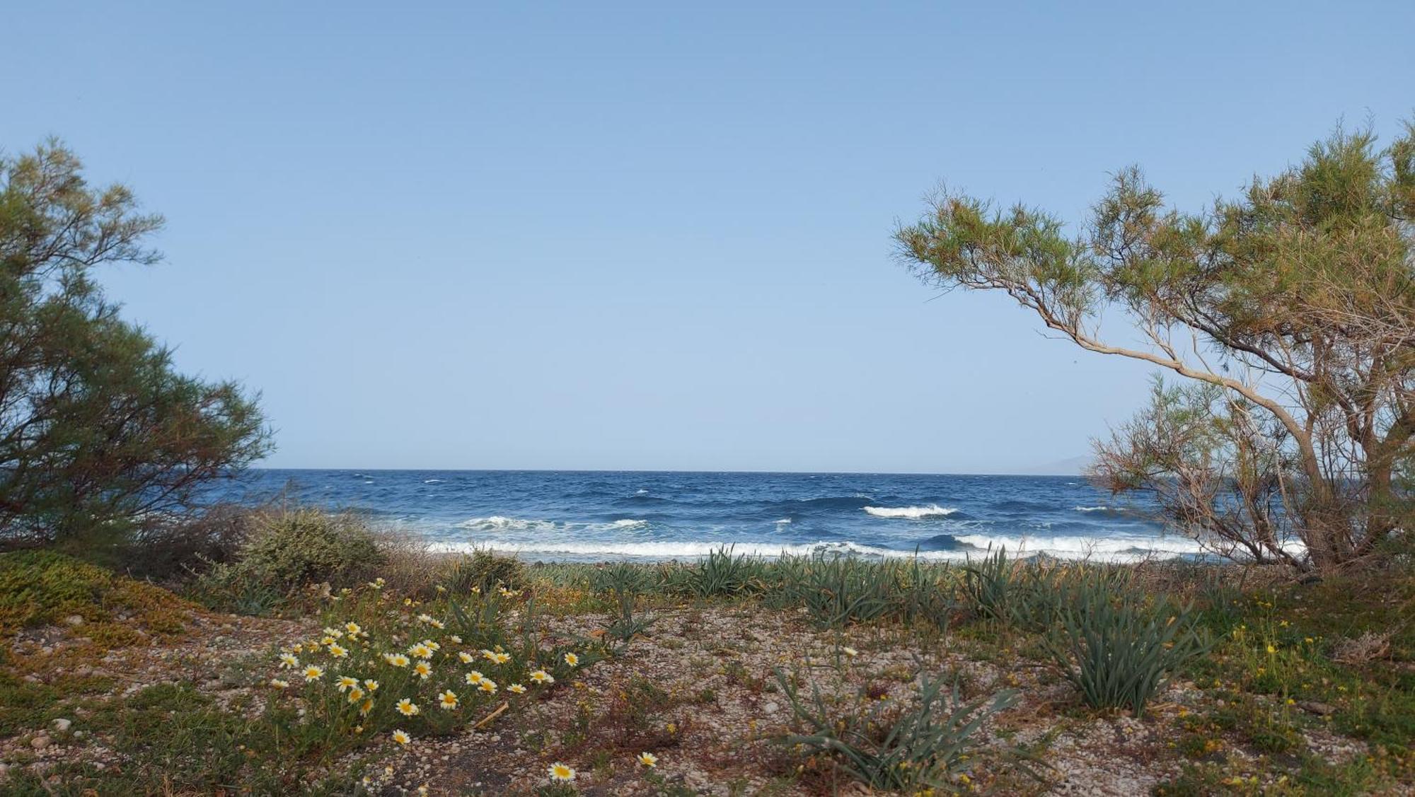 Sea Breeze *