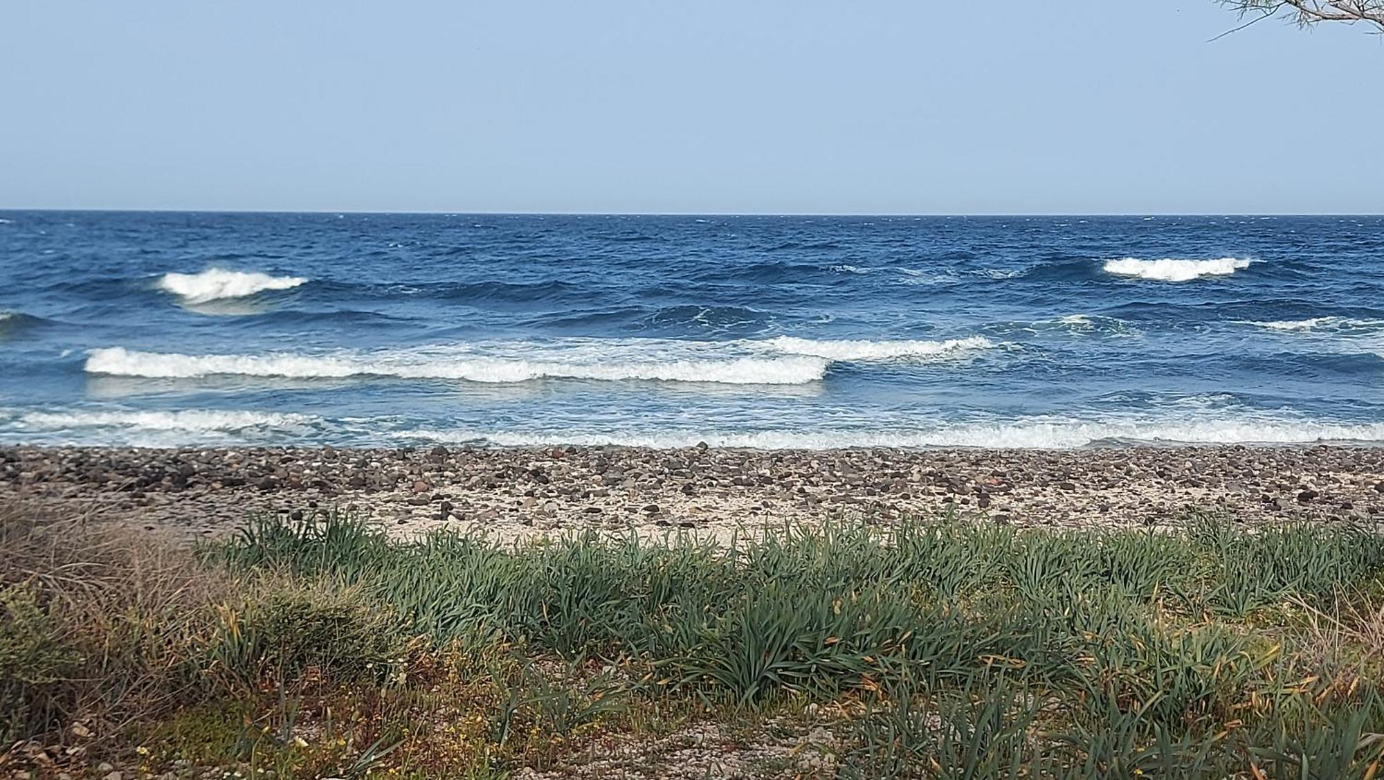 Sea Breeze