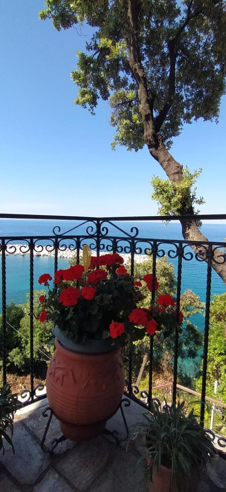 Guest house To Limanaki Chorefton