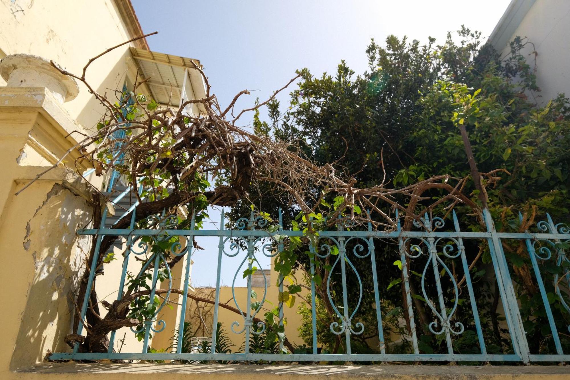 Archontiko Pataka Apartment