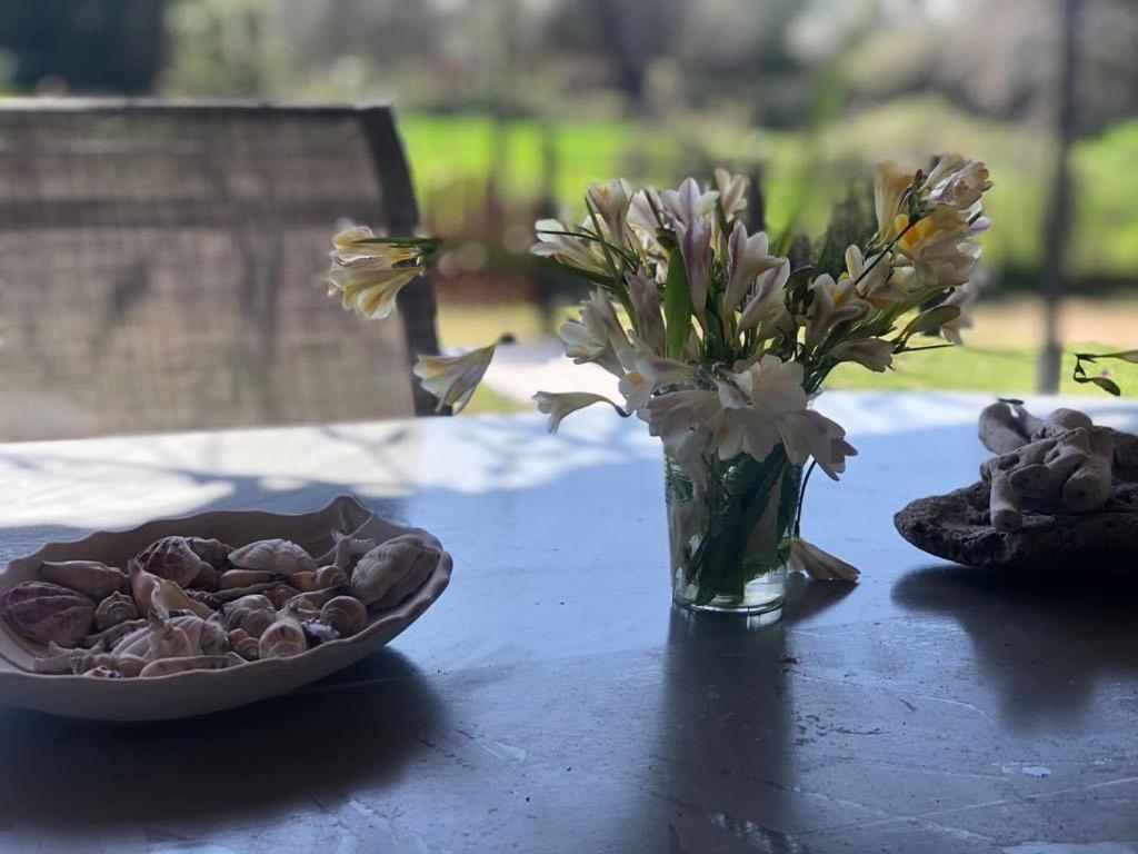 Holiday home Cozy Kanali, Preveza Kanali (Epirus)