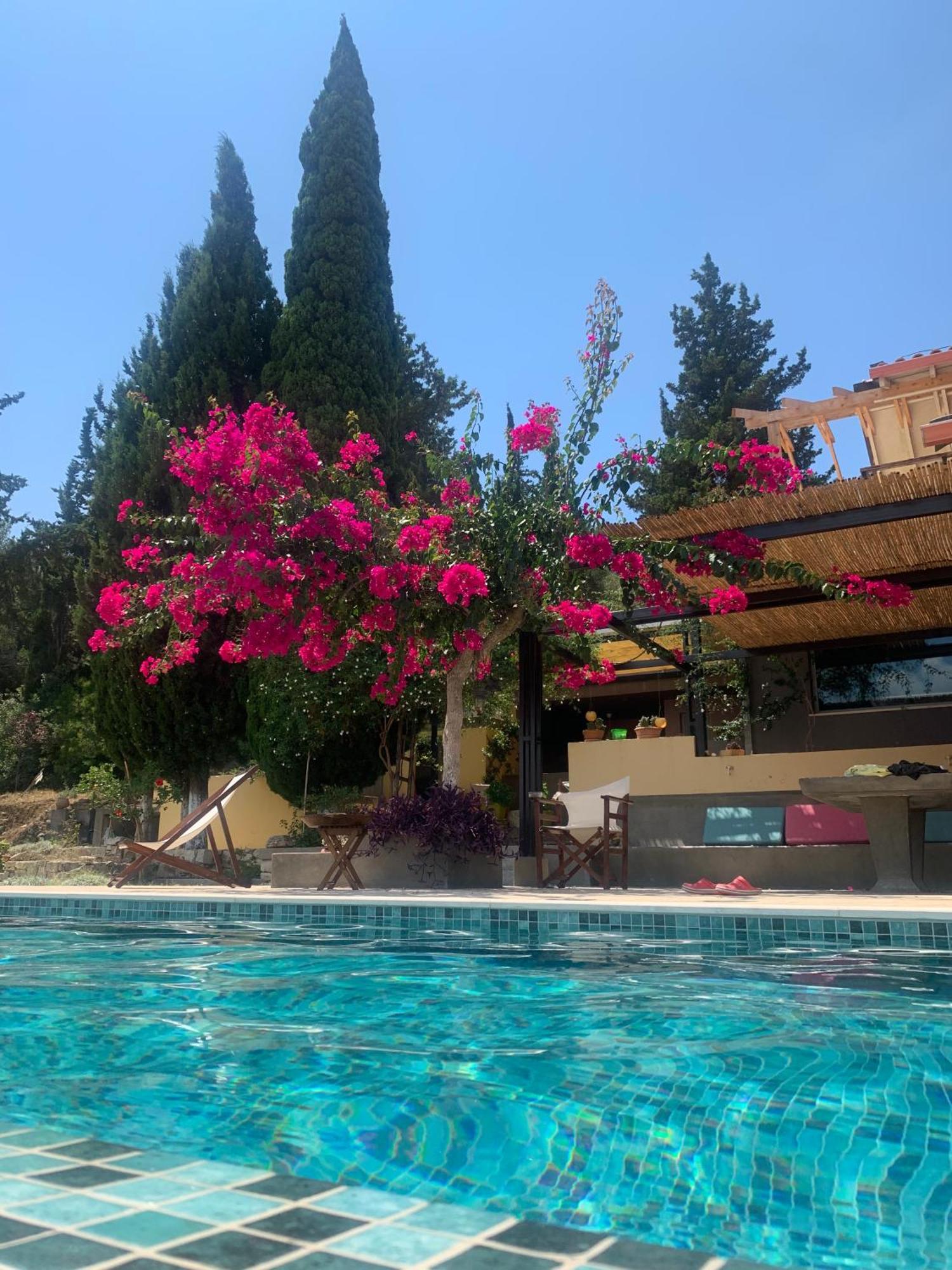Ulysses Gardens - Dimitra Villa Kouvalata