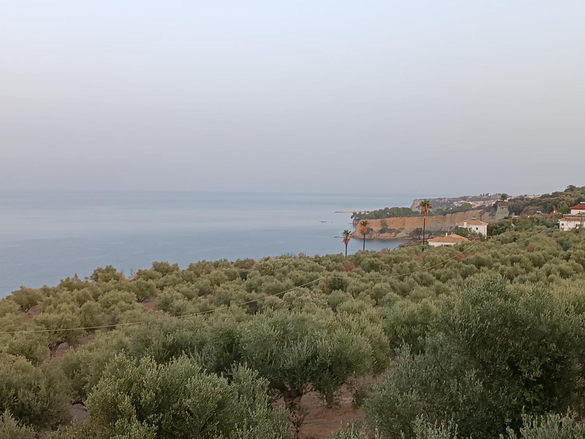 Apartment Tritsili House