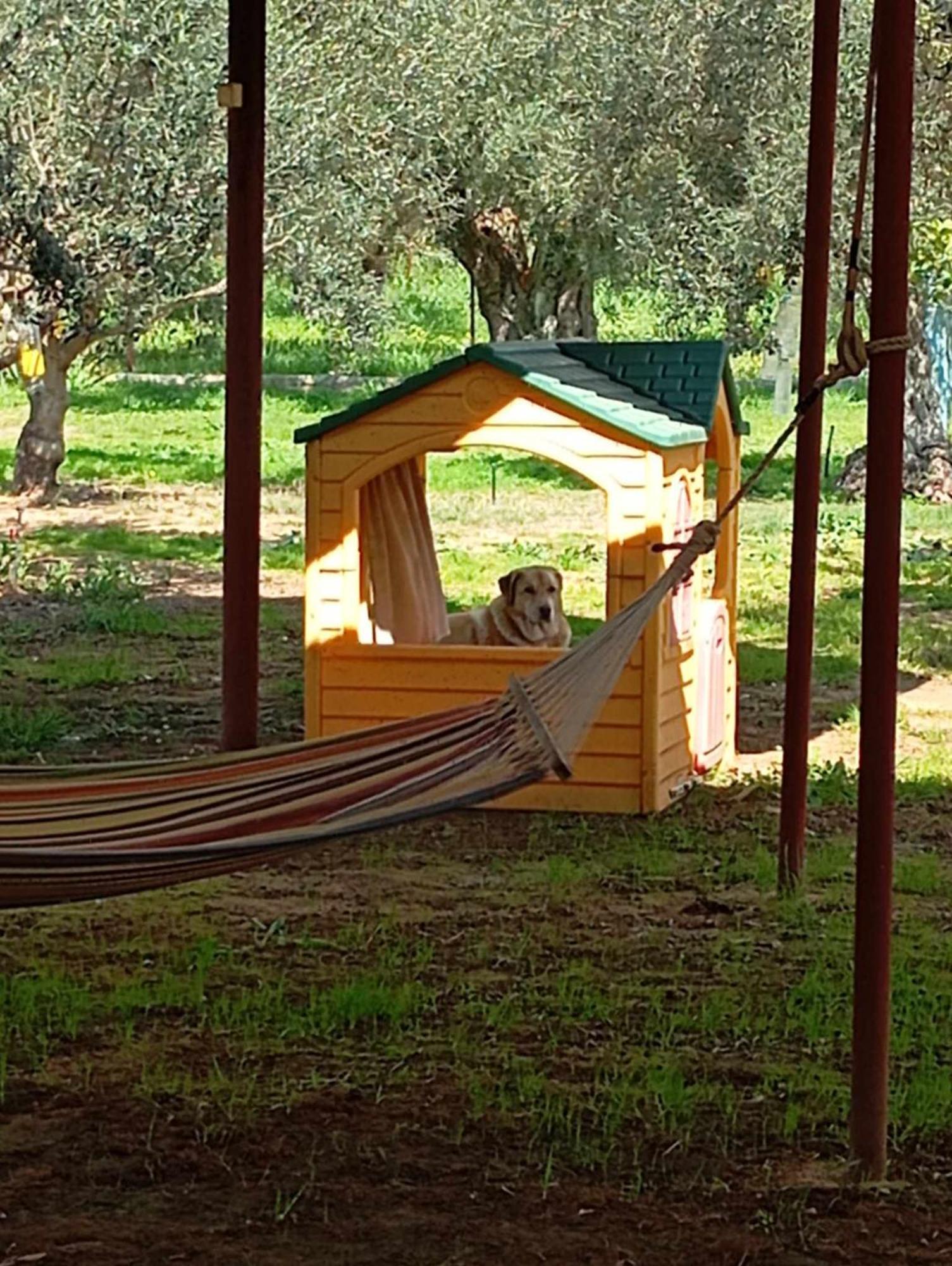 Ktima Anastasia Nafplio