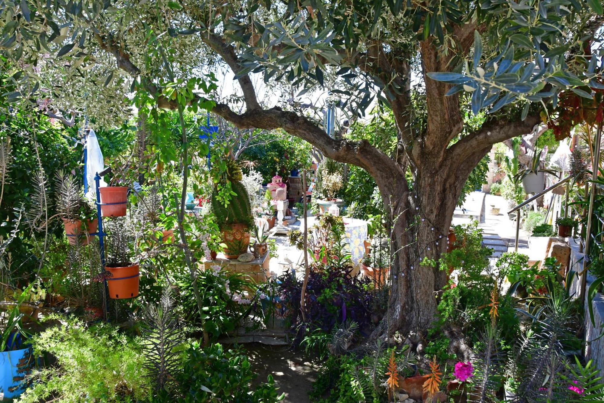 Apartment Kalokenti Aegina