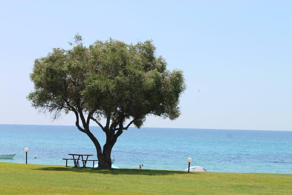 Serene Housecomplex,110m2 House By Marvellous Sea Holiday home *