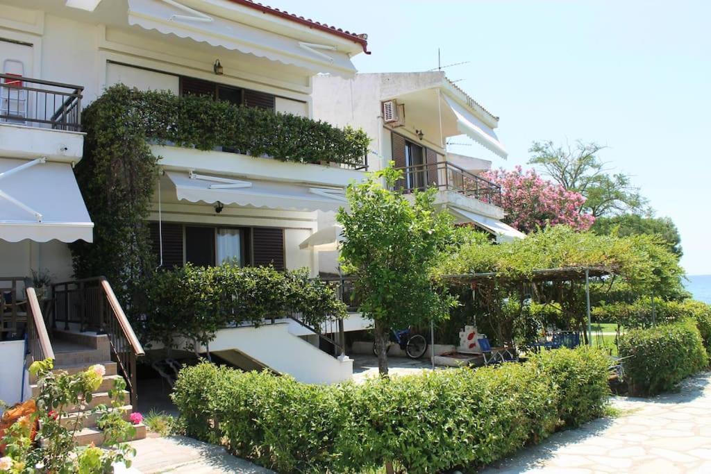 Serene Housecomplex,110m2 House By Marvellous Sea *