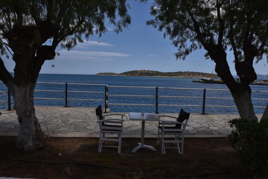 Petit Paradis Apartment