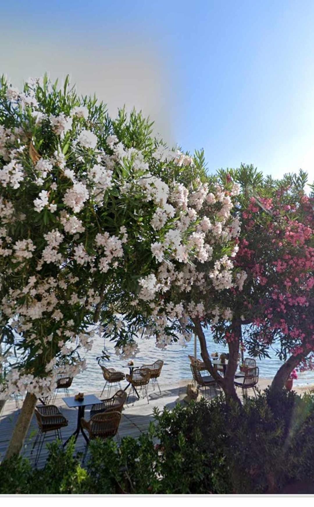 Guest house Akrogiali