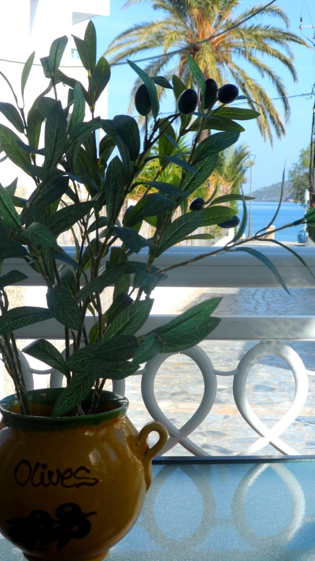 Aparthotel Papafotis & Alinda (Leros)