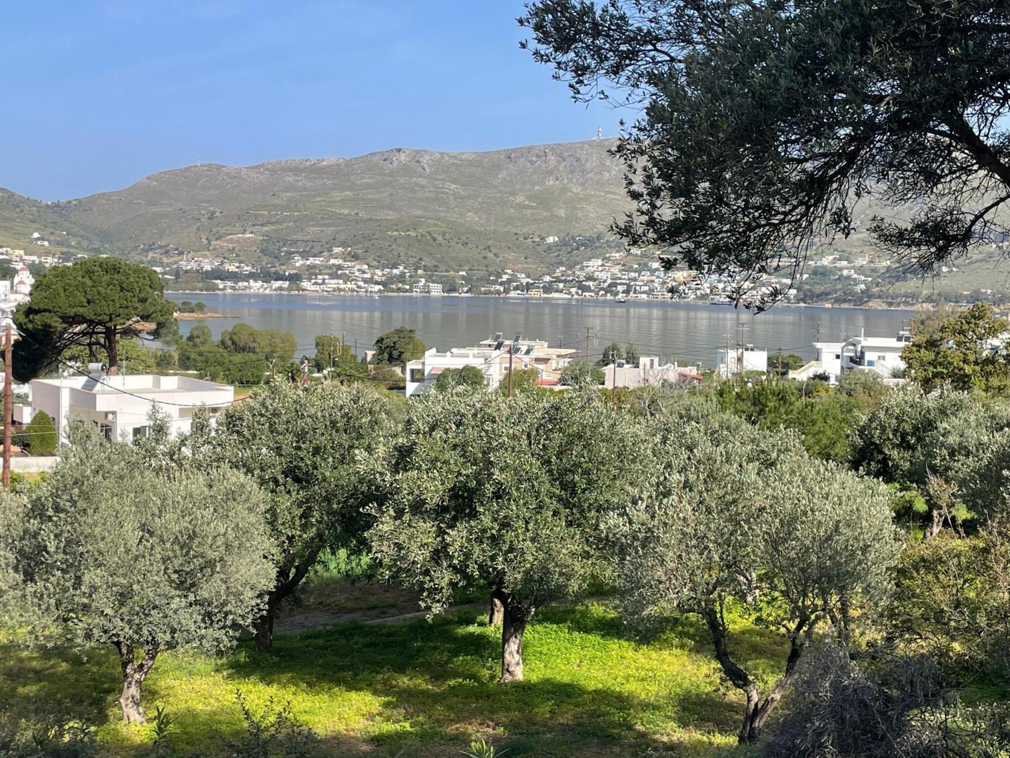 The Velanidies - οι βελανιδιές * Agia Marina (Leros)