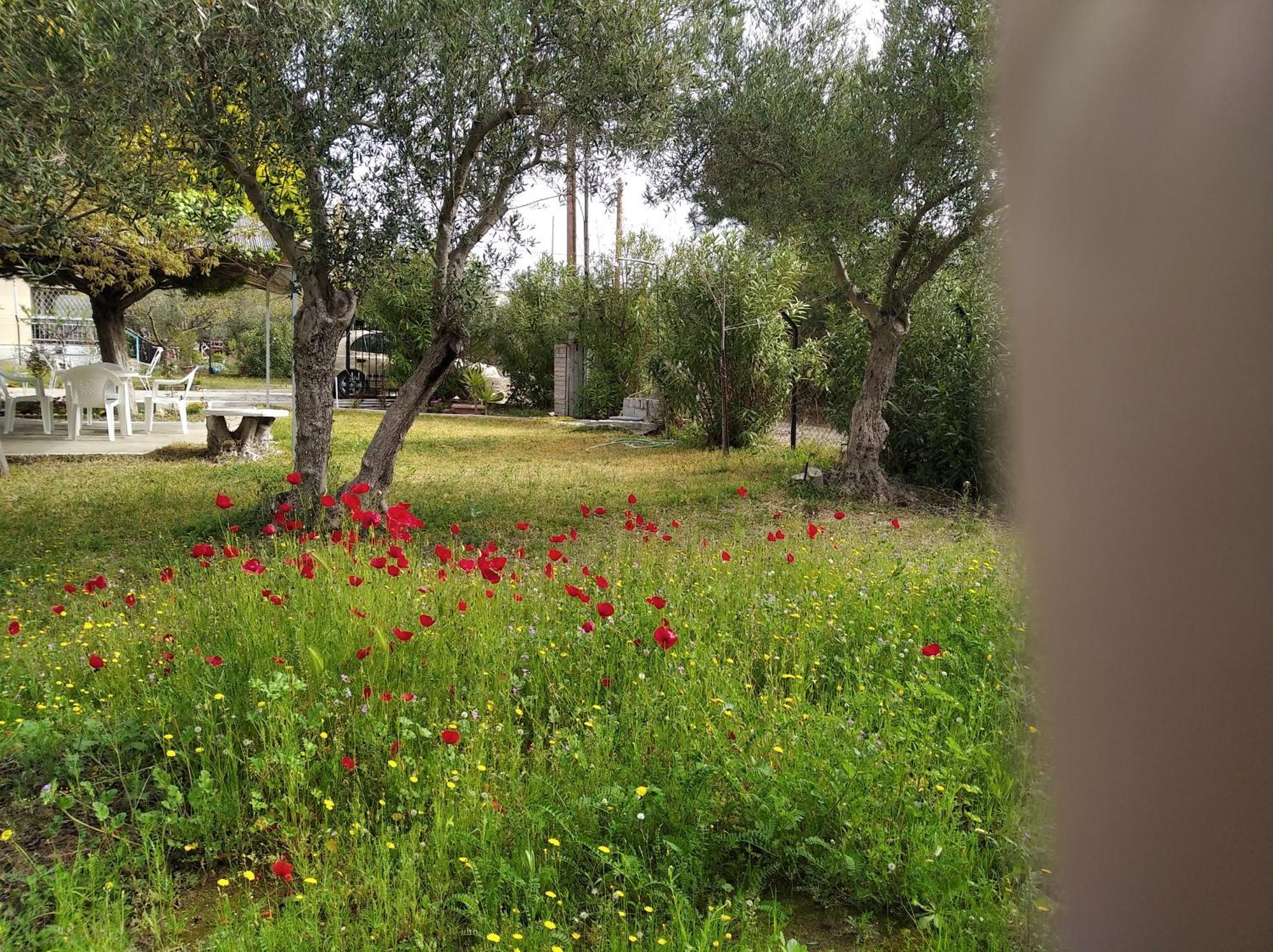 Kalyves, 2 Bedrooms, Sleeps 6, 700sqmgarden, 180m From Holiday home