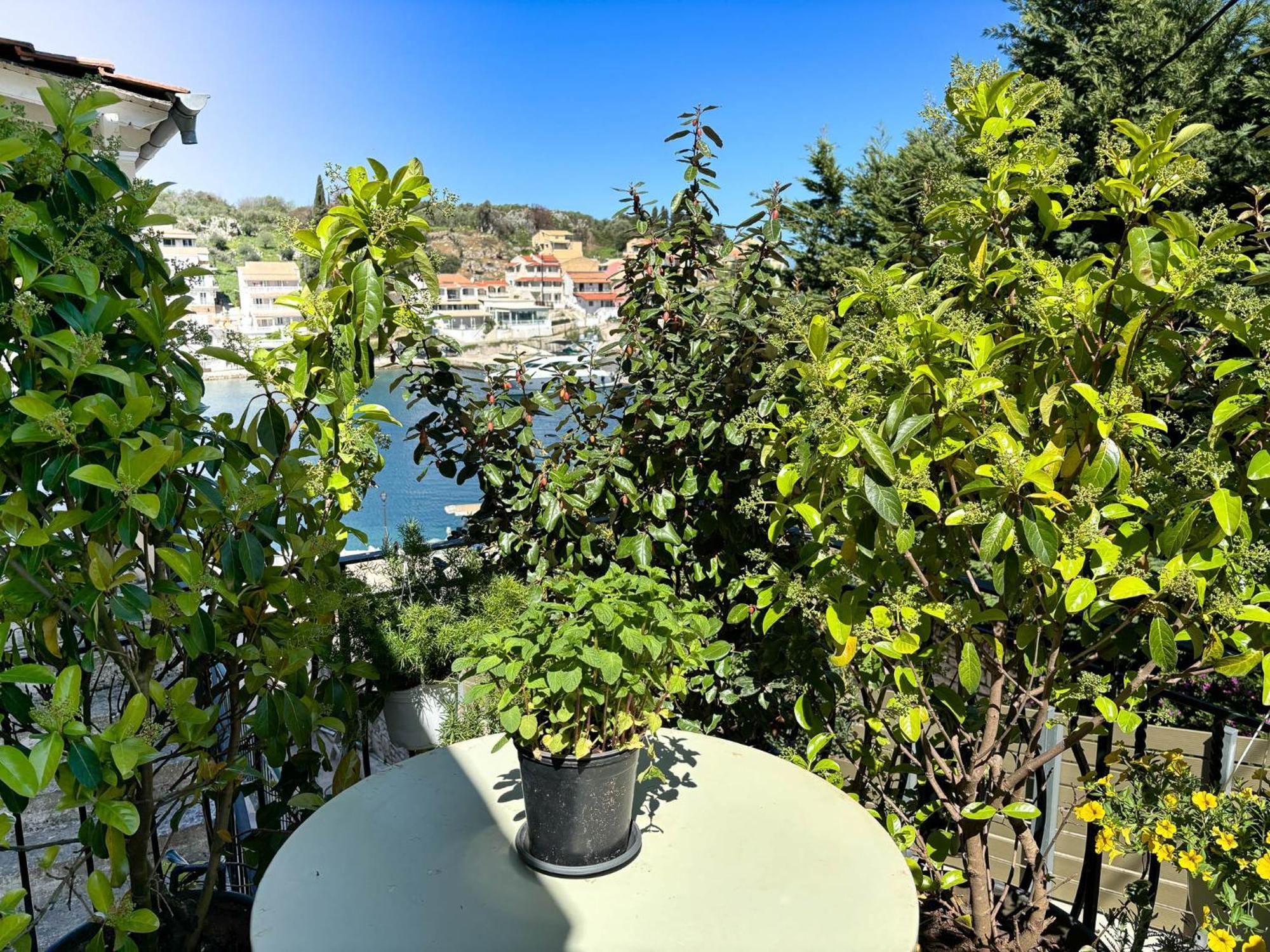 Virginia's Penthouse Kassiopi