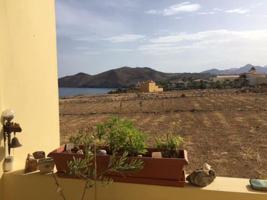 Apartment Sunset Seafront Panormos (Crete)