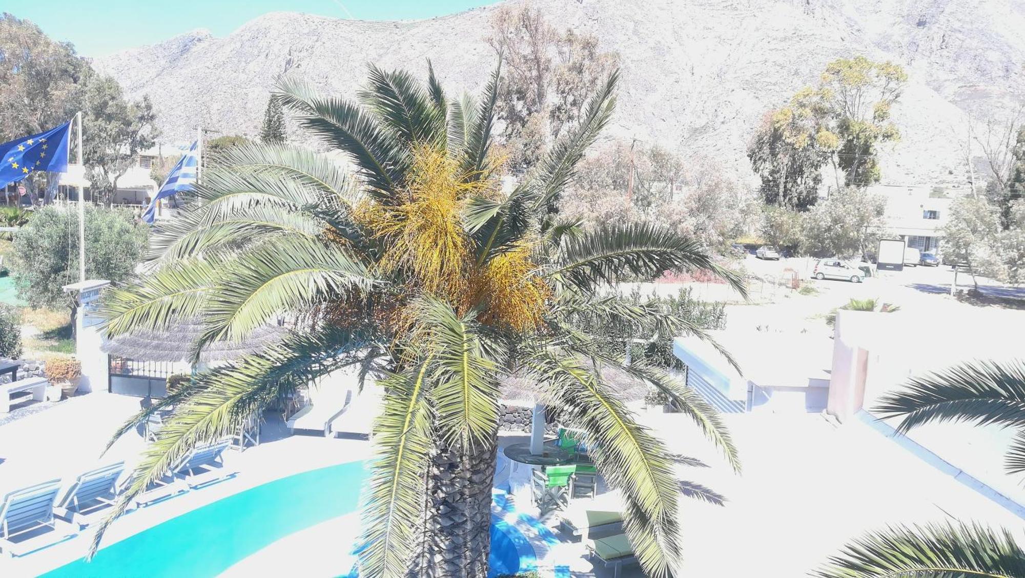 The Perissa (Santorini)