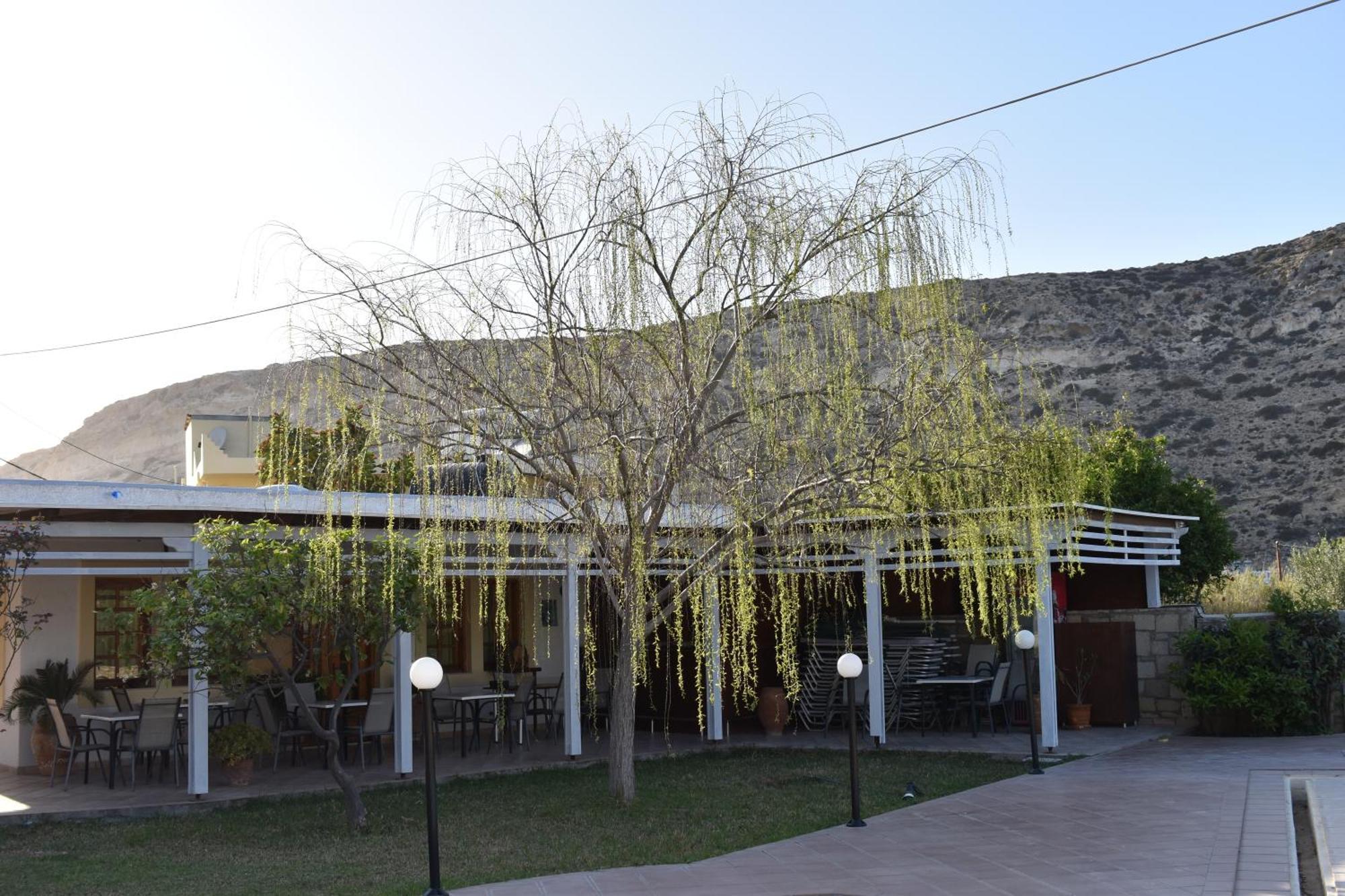 Dimitris Bed & Breakfast 3*