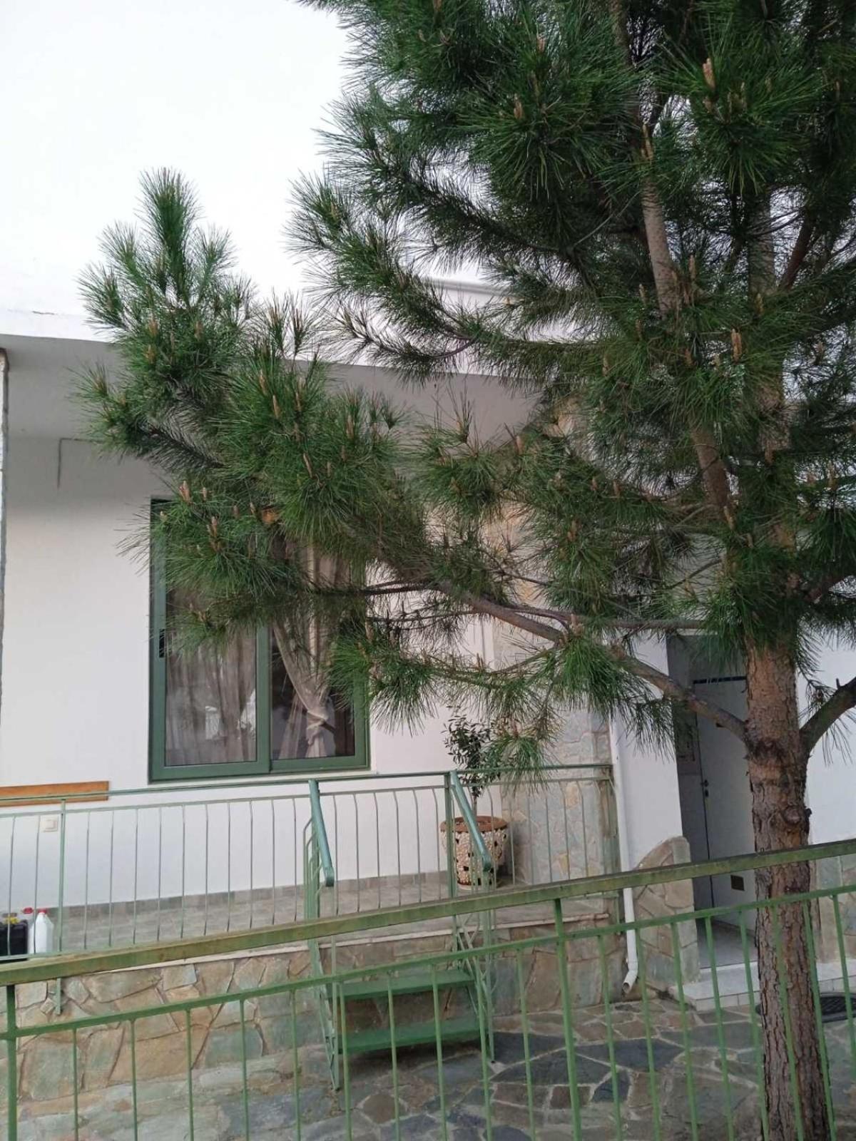 Fotini Aparthotel Kamena Vourla