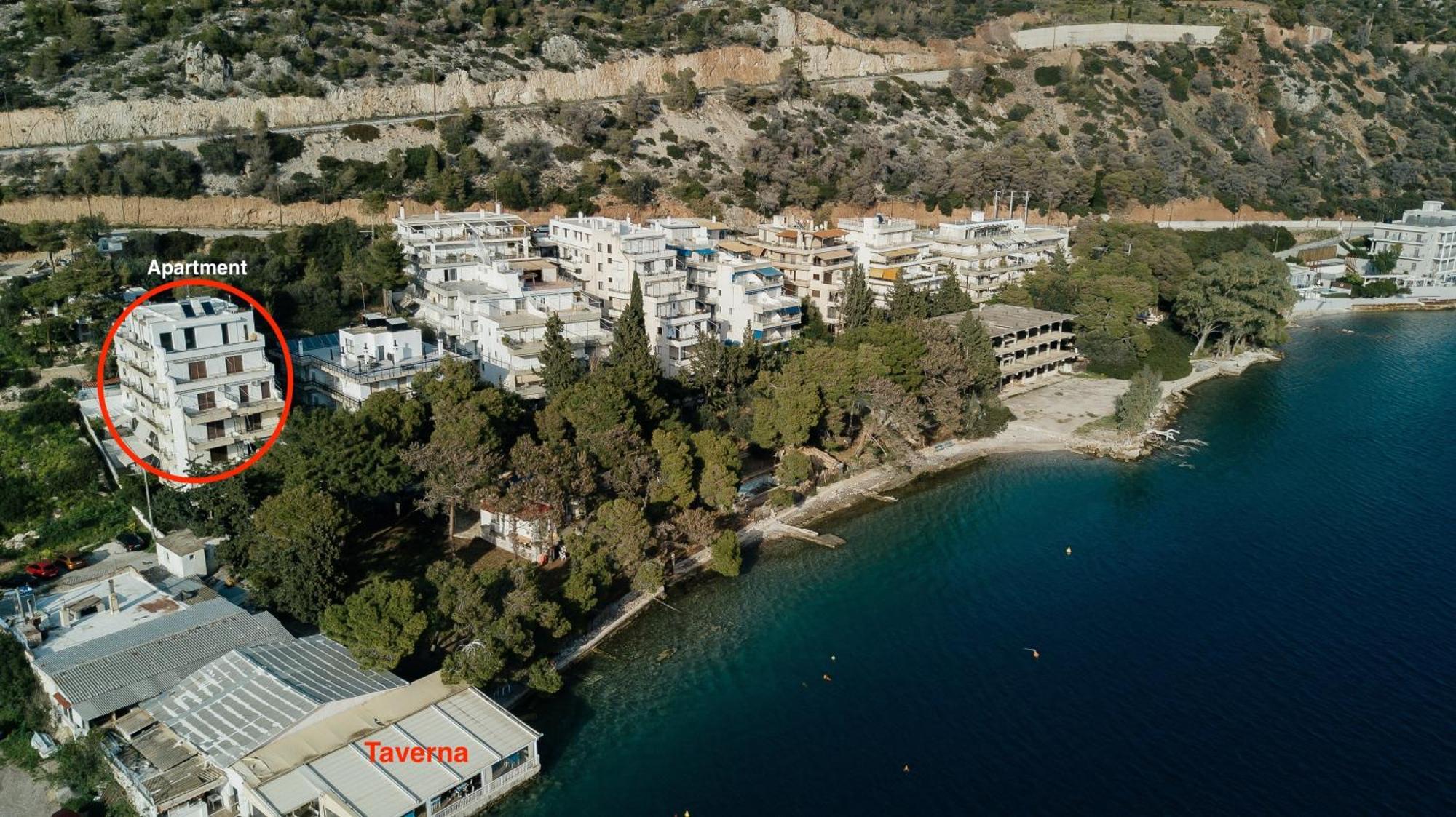 Apartment Cozy 50m From The Sea *