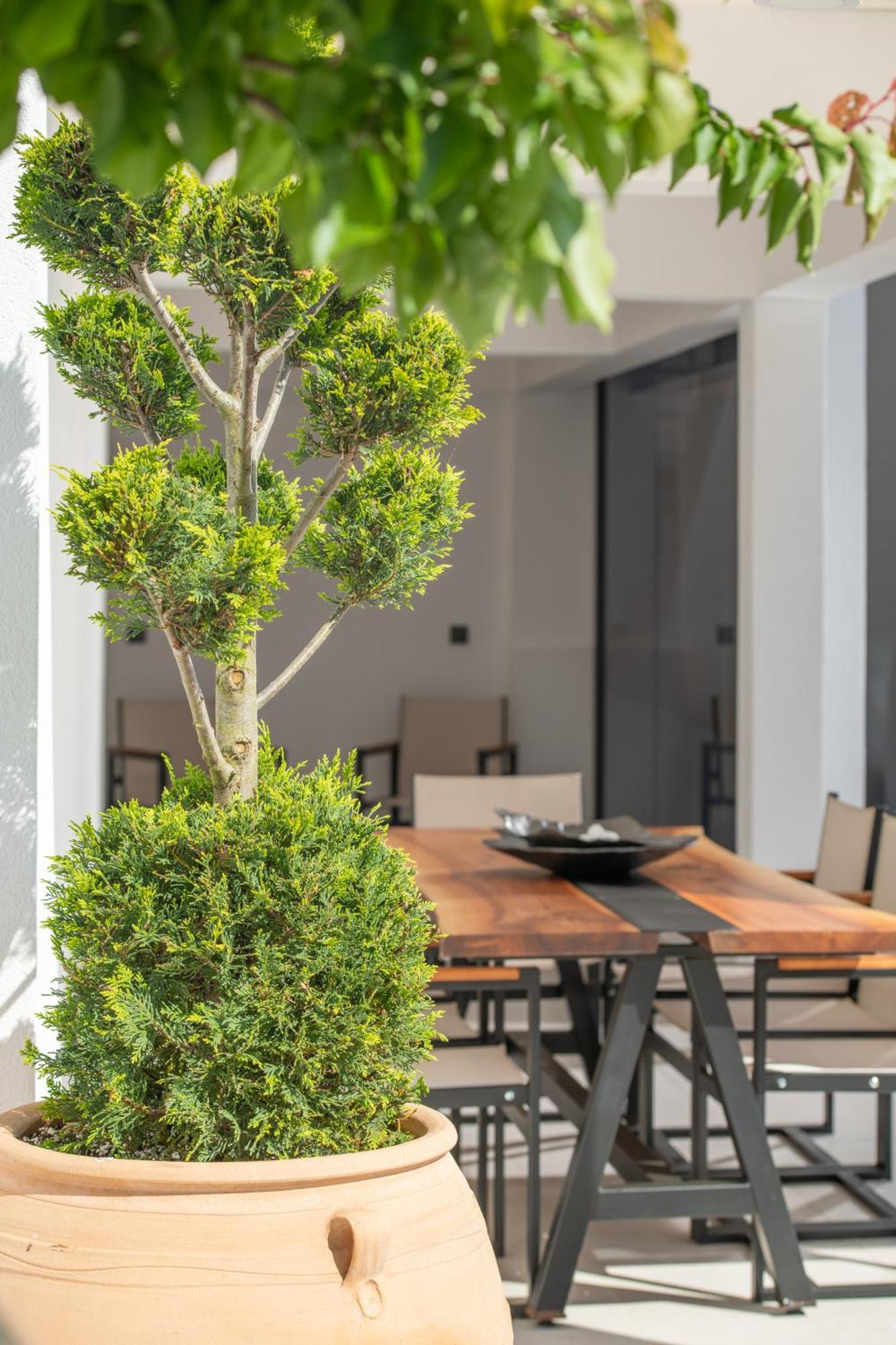 Alexandrion Down Town Aparthotel Sarti