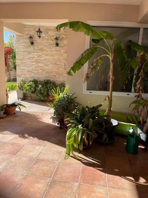 Sea View Apartment