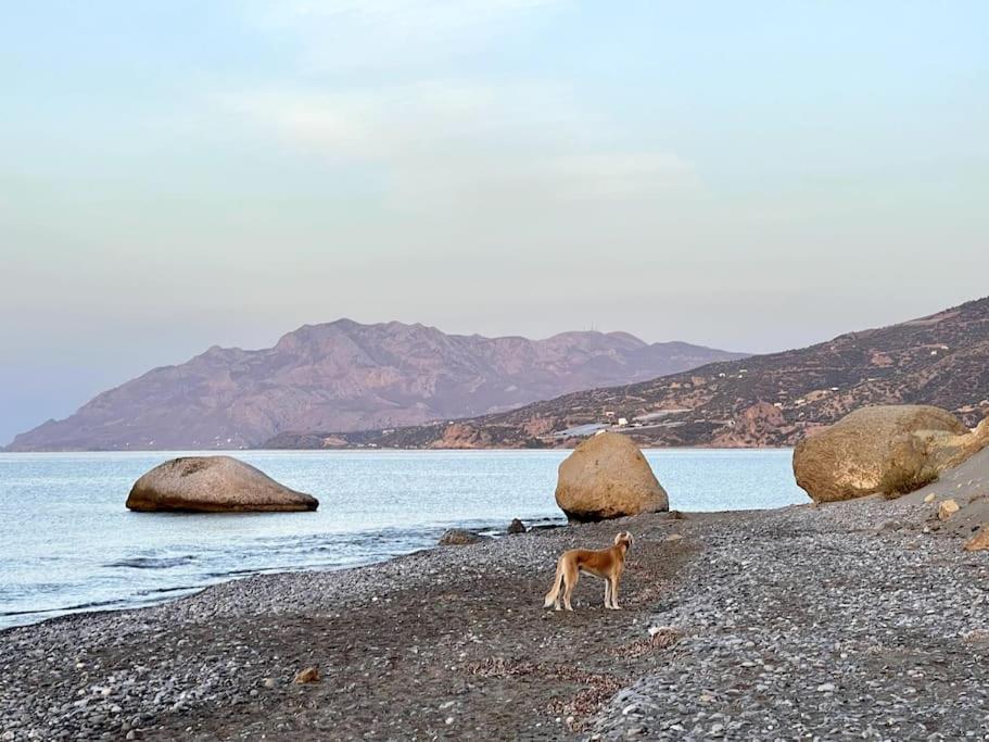 Kastri Seaside Splendour! Apartment Heraklion (Crete)
