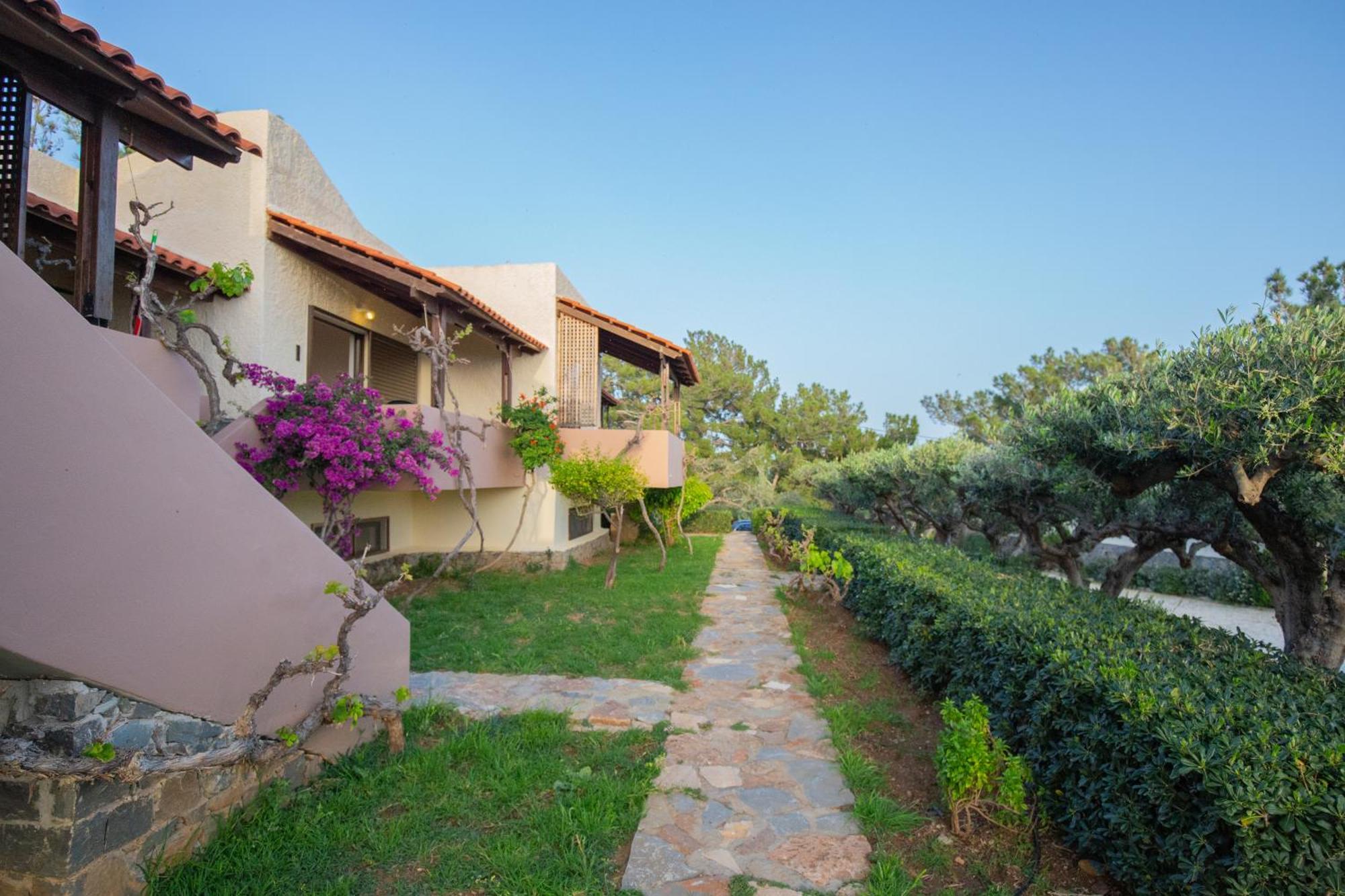 Ferma Solaris * Agia Fotia (Ierapetra)