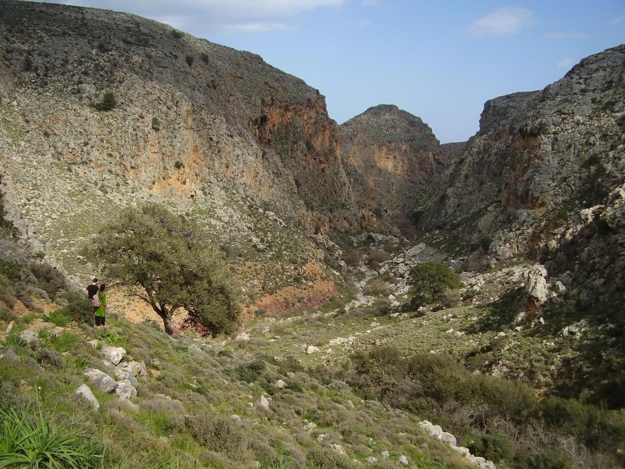 Petras Sea View - 50 Meters From The Sea