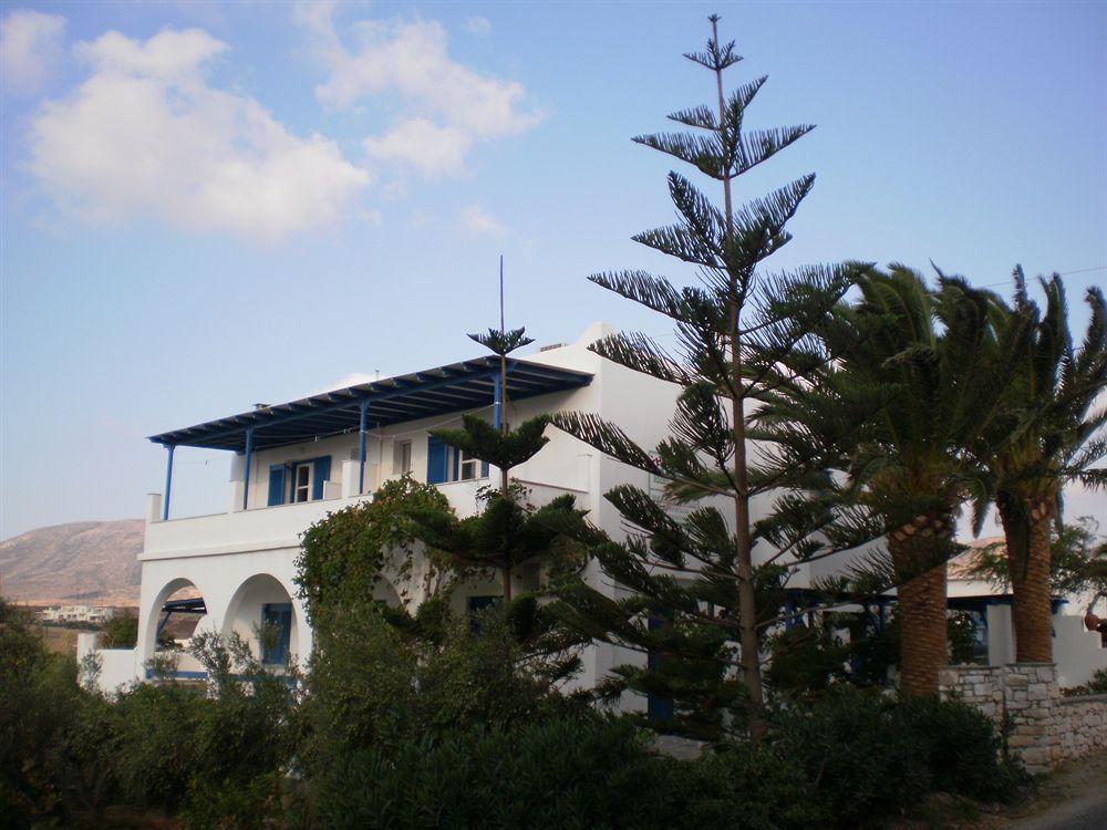 Oasis *