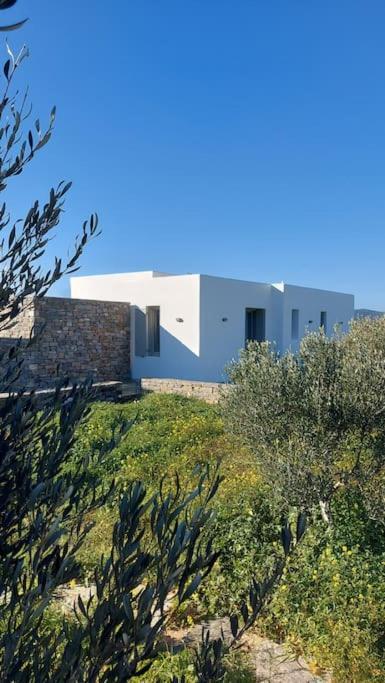 Aelia Preciosa Holiday home