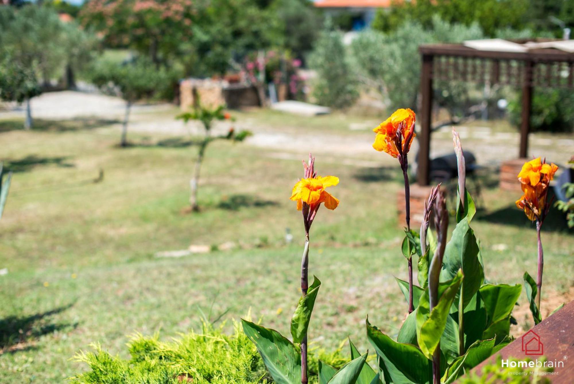 Rossa Villa Mesimvria (Evros)