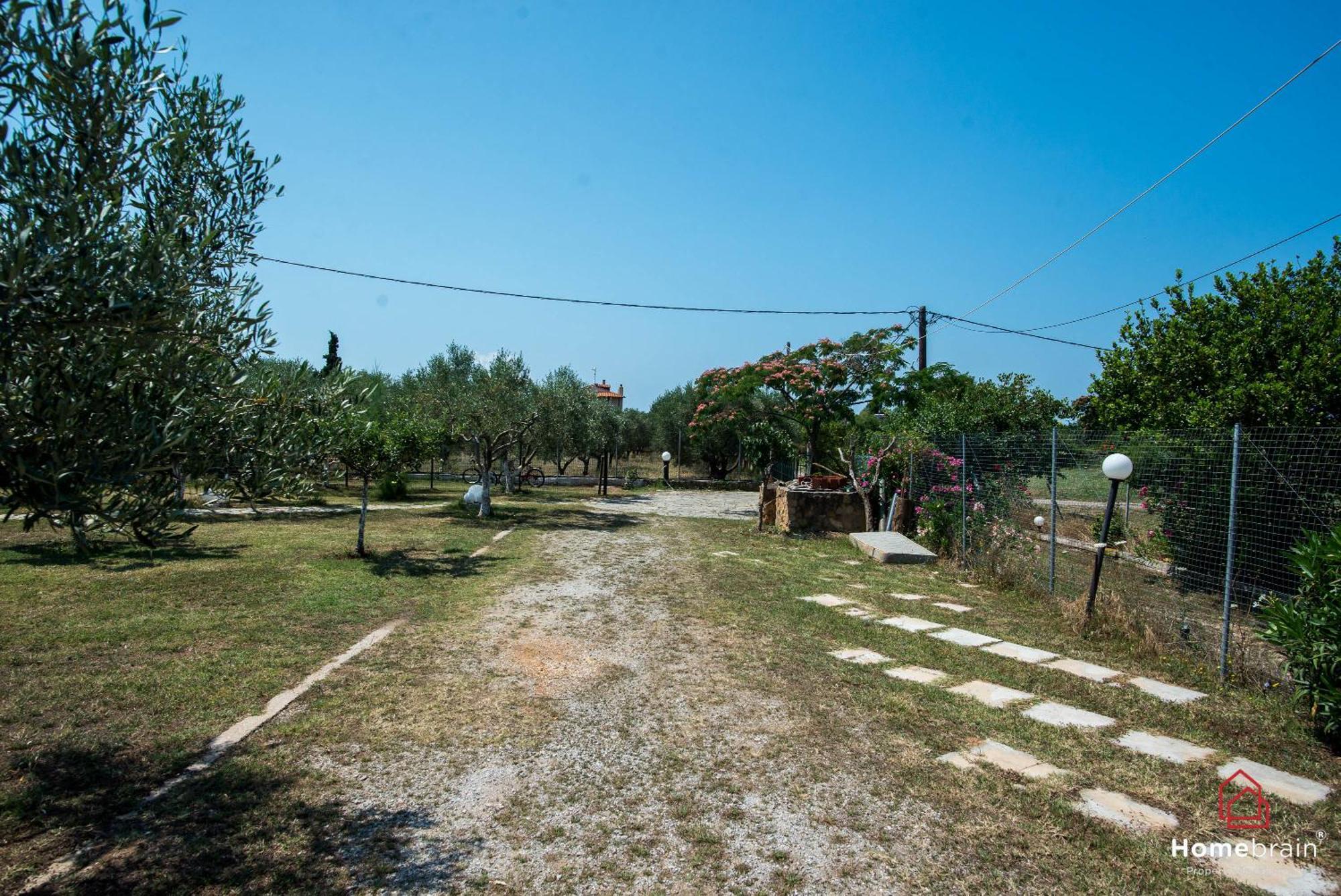Rossa Villa Mesimvria (Evros)