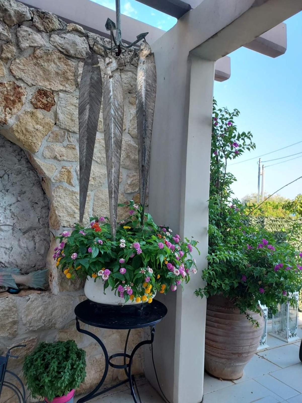 Mara με ιδιωτική παραλία Holiday home *