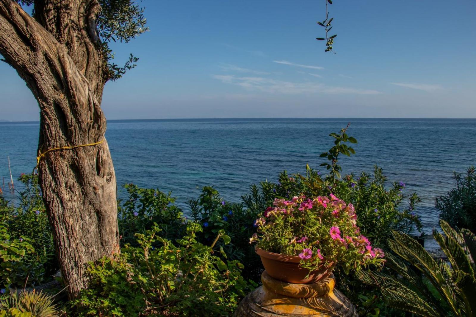 Beachfront Romantica Place *
