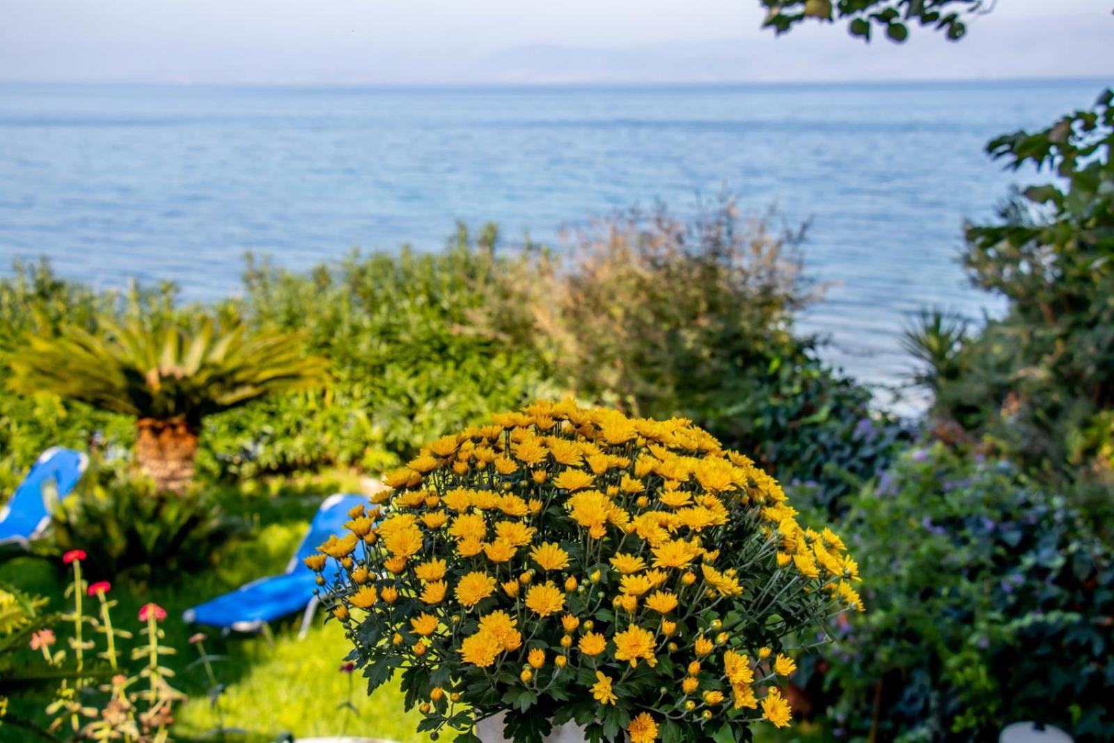 Beachfront Romantica Place *