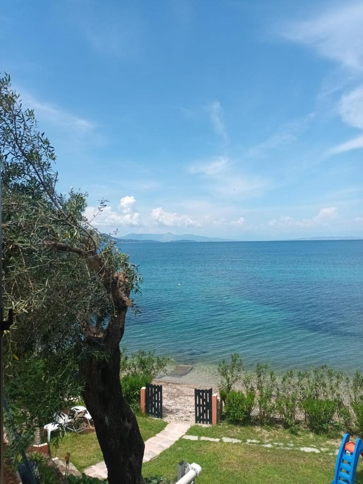 Apartment Beachfront Romantica Place